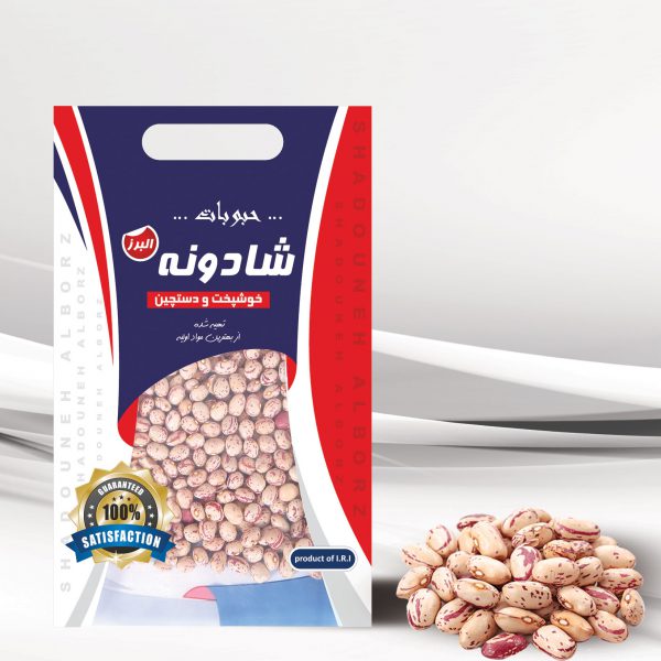 صفحه اصلی 17 چیتی