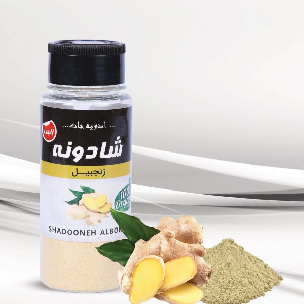 صفحه اصلی 34 زنجبیل
