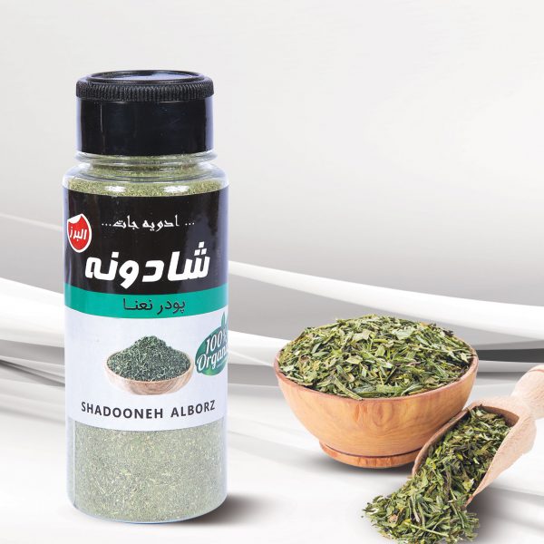 صفحه اصلی 41 نعنا