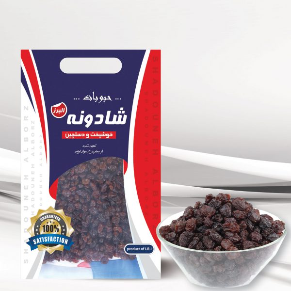 صفحه اصلی 12 پلویی